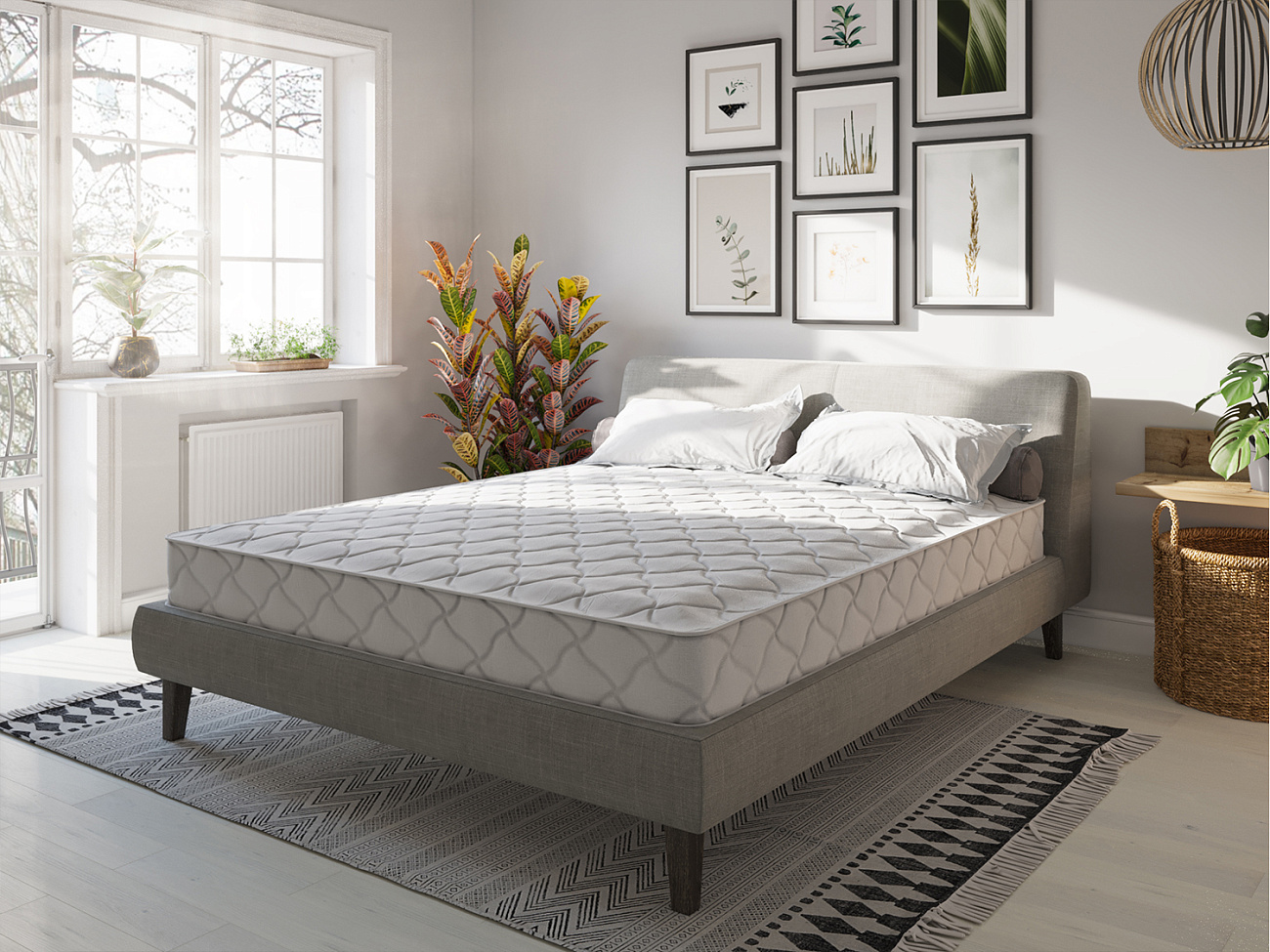 Evita Беспружинные New Zone фото 3