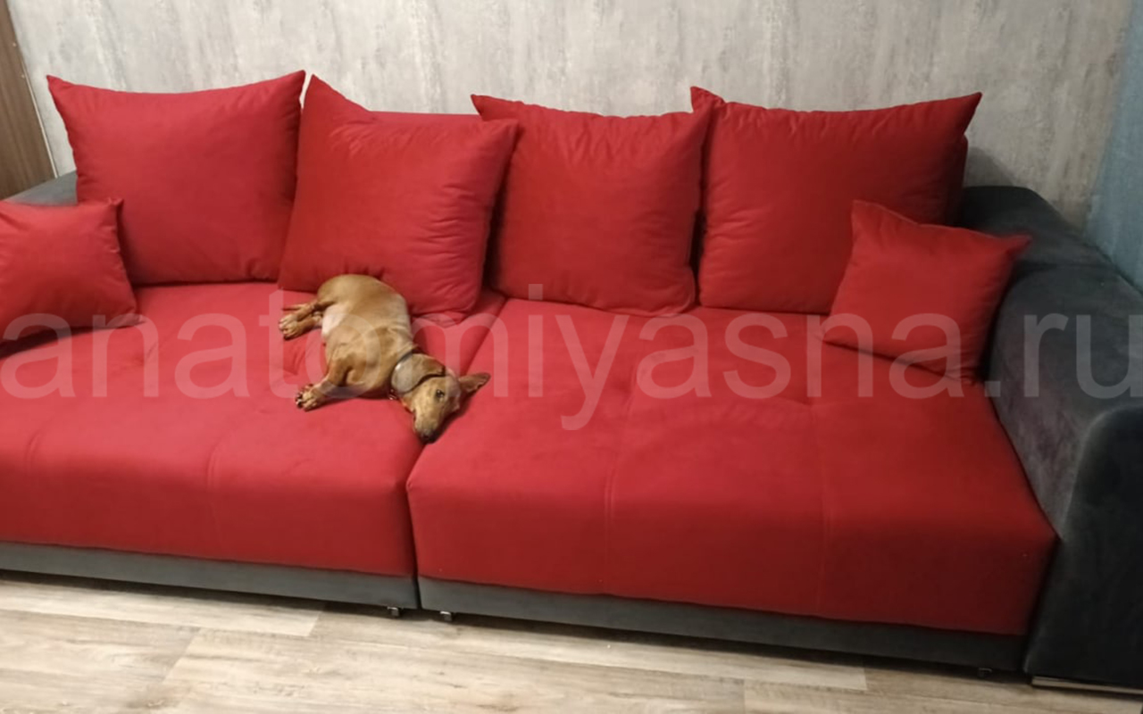 отзыв о Диван Gupan Pesaro фото 2