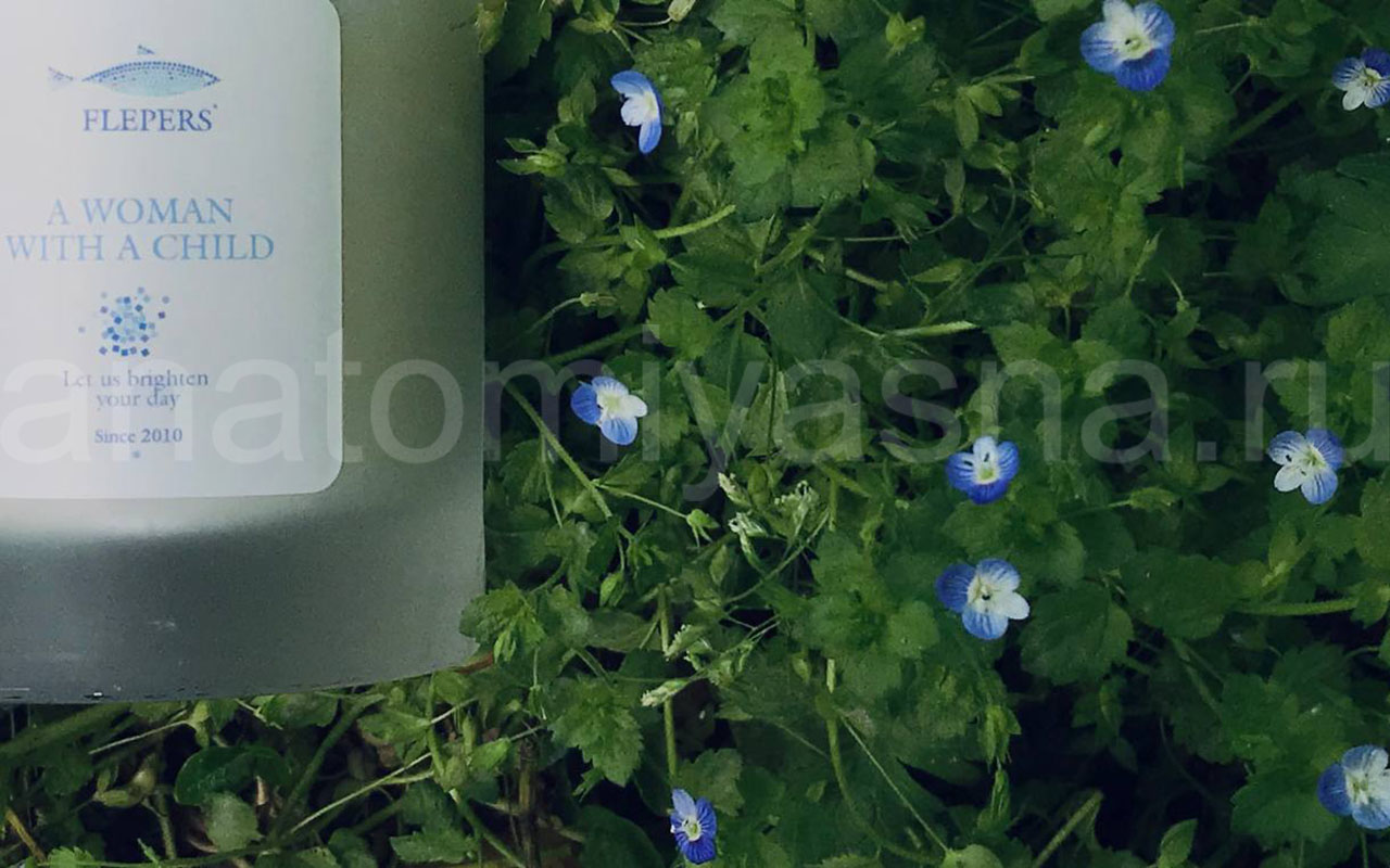 отзыв о Свеча Flepers A woman with a child фото 5